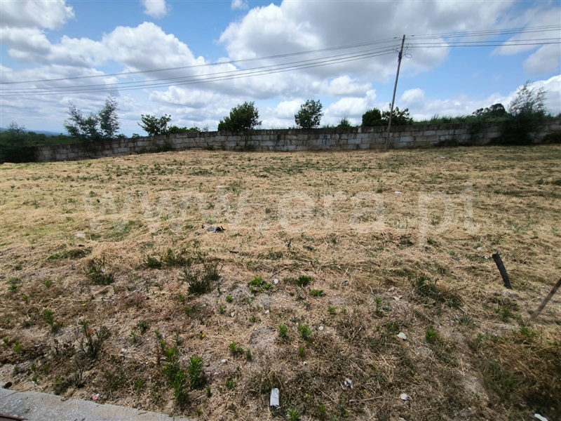 Lote  Mangualde, Mangualde, Mesquitela e Cunha Alta - 1478168 - 3