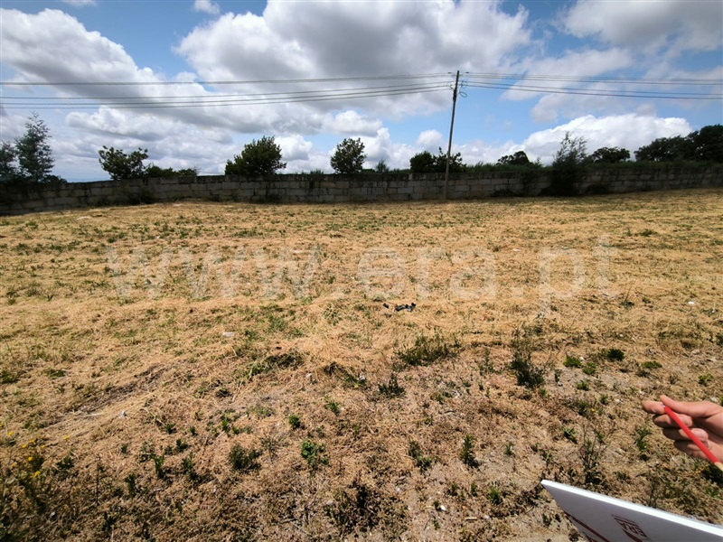 Lote  Mangualde, Mangualde, Mesquitela e Cunha Alta - 1478168 - 4