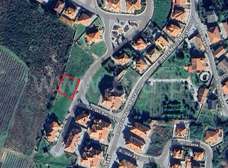 Lote / Mangualde, Mangualde, Mesquitela e Cunha Alta