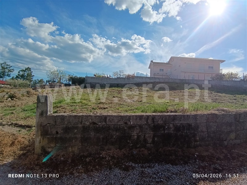 Lote / Mangualde, Mangualde, Mesquitela e Cunha Alta