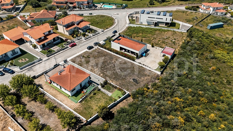 Lote / Mangualde, Mangualde, Mesquitela e Cunha Alta