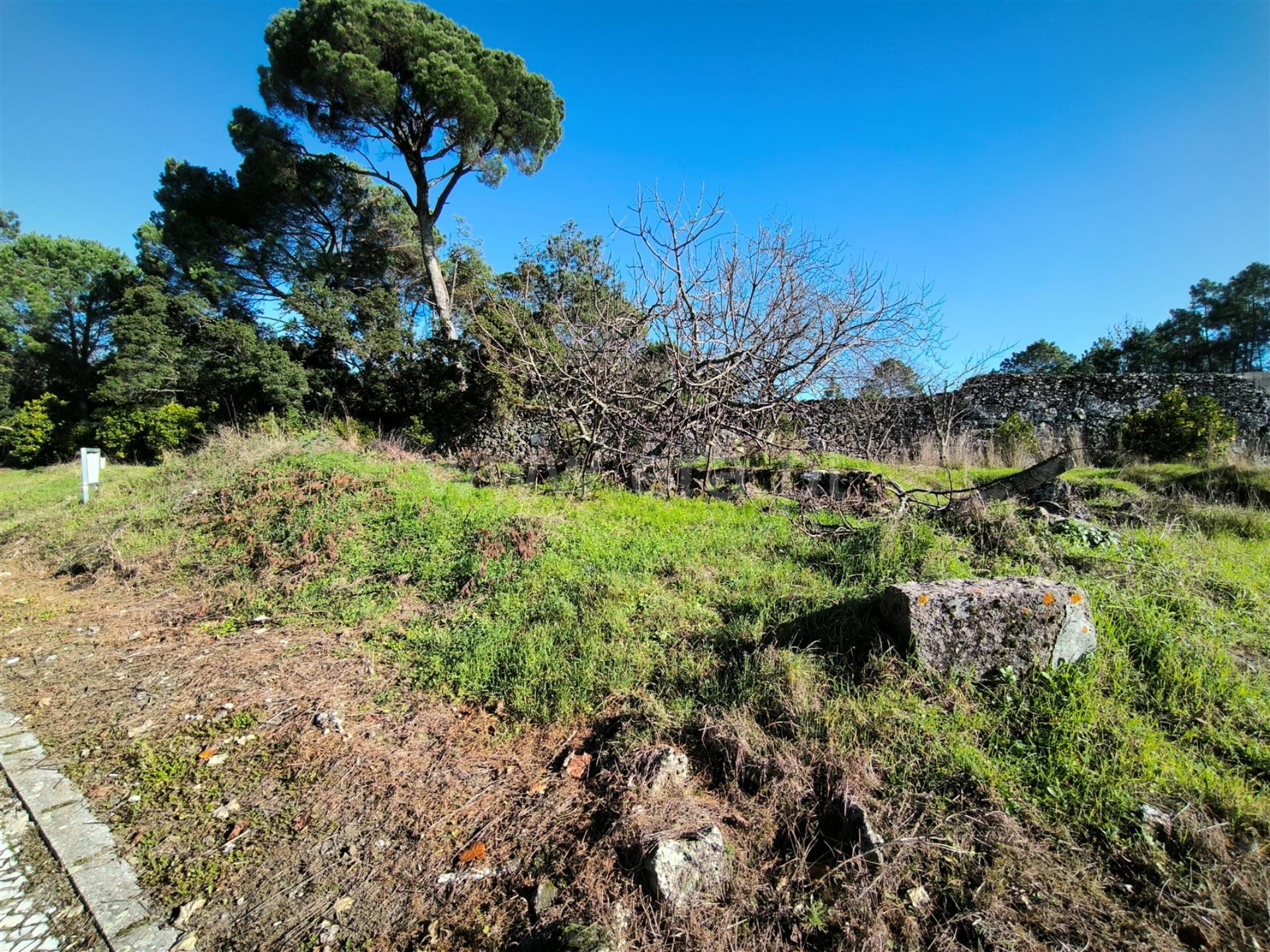 Terreno em Gouveia