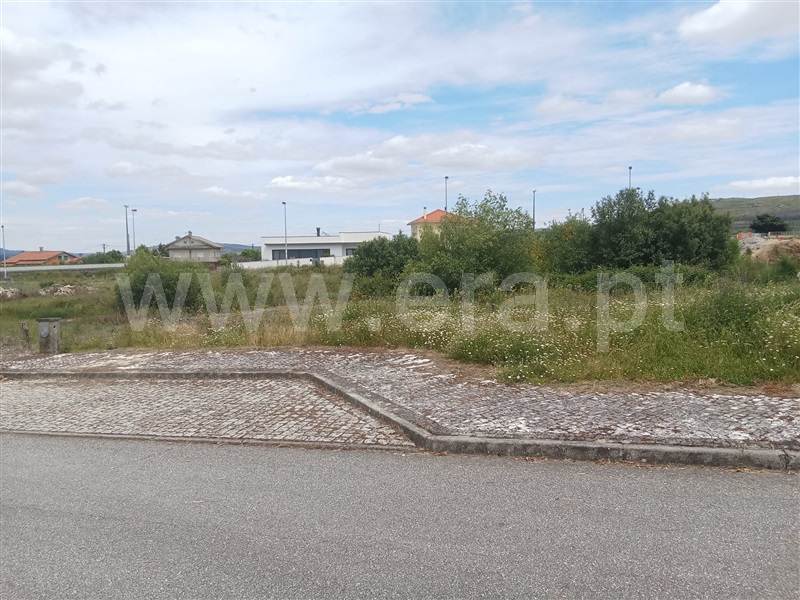 Lote / Mangualde, Quintela de Azurara