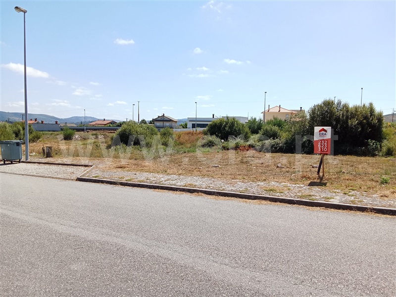 Lote / Mangualde, Quintela de Azurara