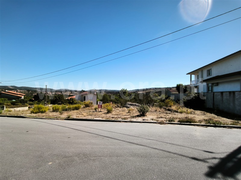 Lote / Mangualde, Quintela de Azurara