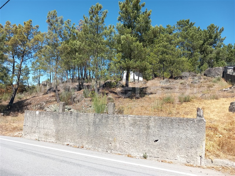 Lote / Mangualde, Tavares (Chãs, Várzea e Travanca)