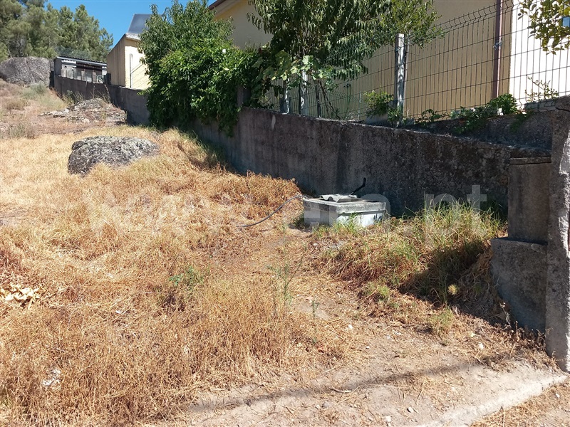 Lote  Mangualde, Tavares (Chãs, Várzea e Travanca) - 1351223 - 2