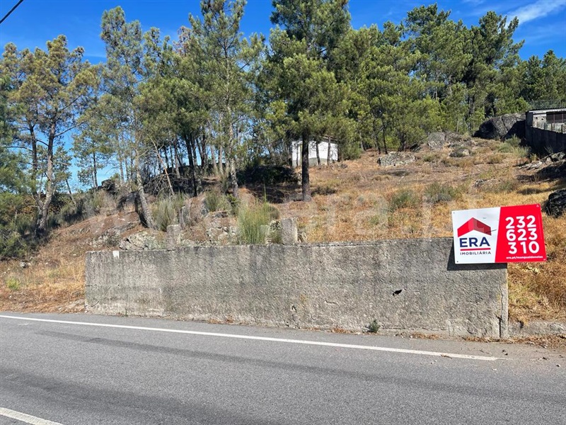Lote  Mangualde, Tavares (Chãs, Várzea e Travanca) - 1351223 - 4
