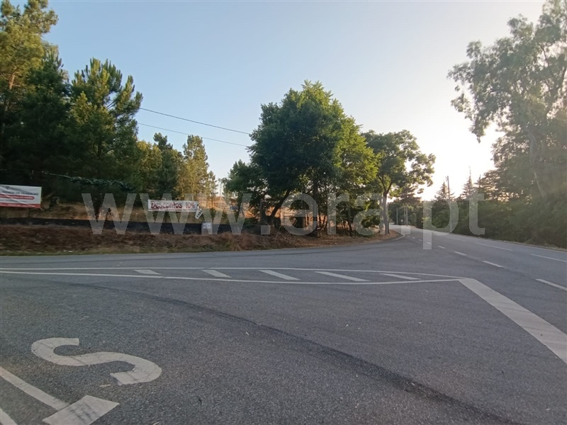 Lote  Mangualde, Tavares (Chãs, Várzea e Travanca) - 1496214 - 1