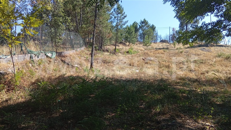 Lote  Mangualde, Tavares (Chãs, Várzea e Travanca) - 1496214 - 4