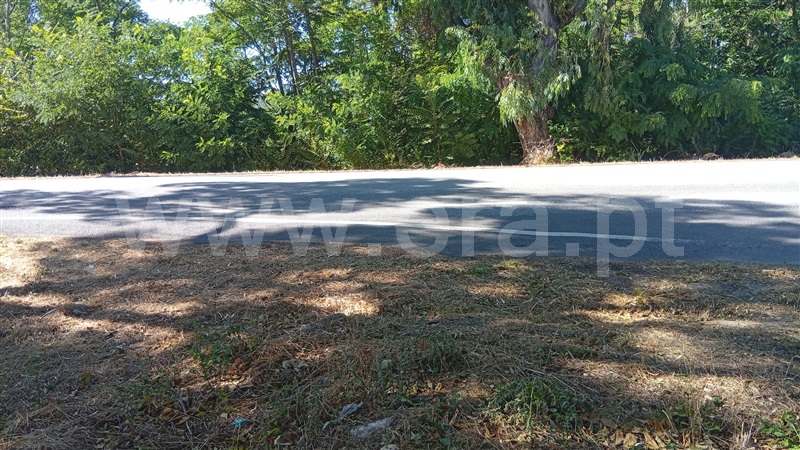 Lote  Mangualde, Tavares (Chãs, Várzea e Travanca) - 1496214 - 7