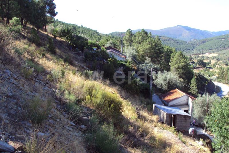 Lote / Manteigas, Serra da Estrela