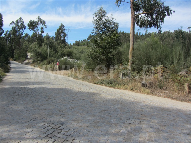 Lote  Marco de Canaveses, Alpendorada, Várzea e Torrão - 1036641 - 5