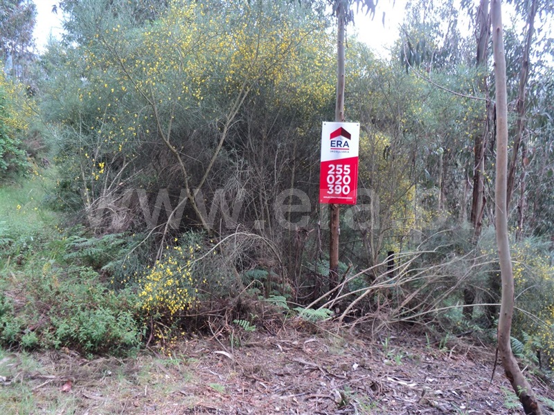 Lote / Marco de Canaveses, Alpendorada, Várzea e Torrão