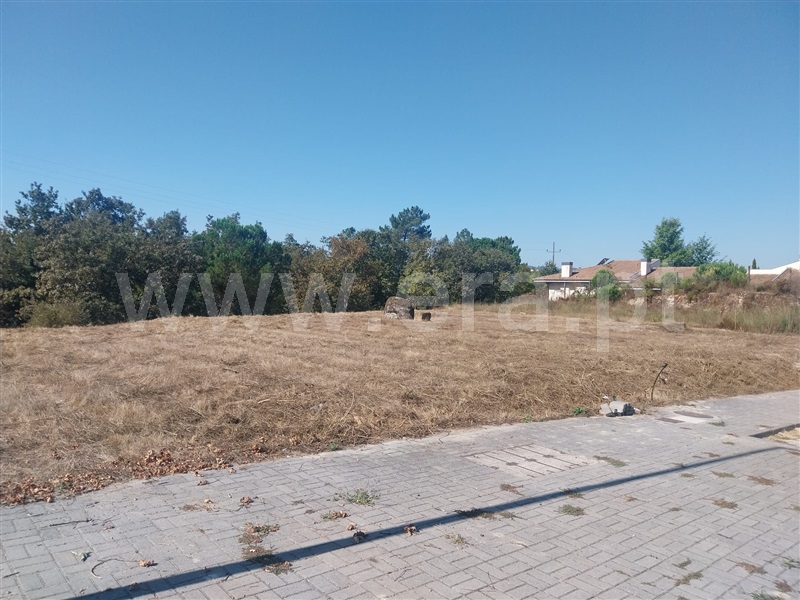 Lote  Marco de Canaveses, Livração - 1510144 - 8