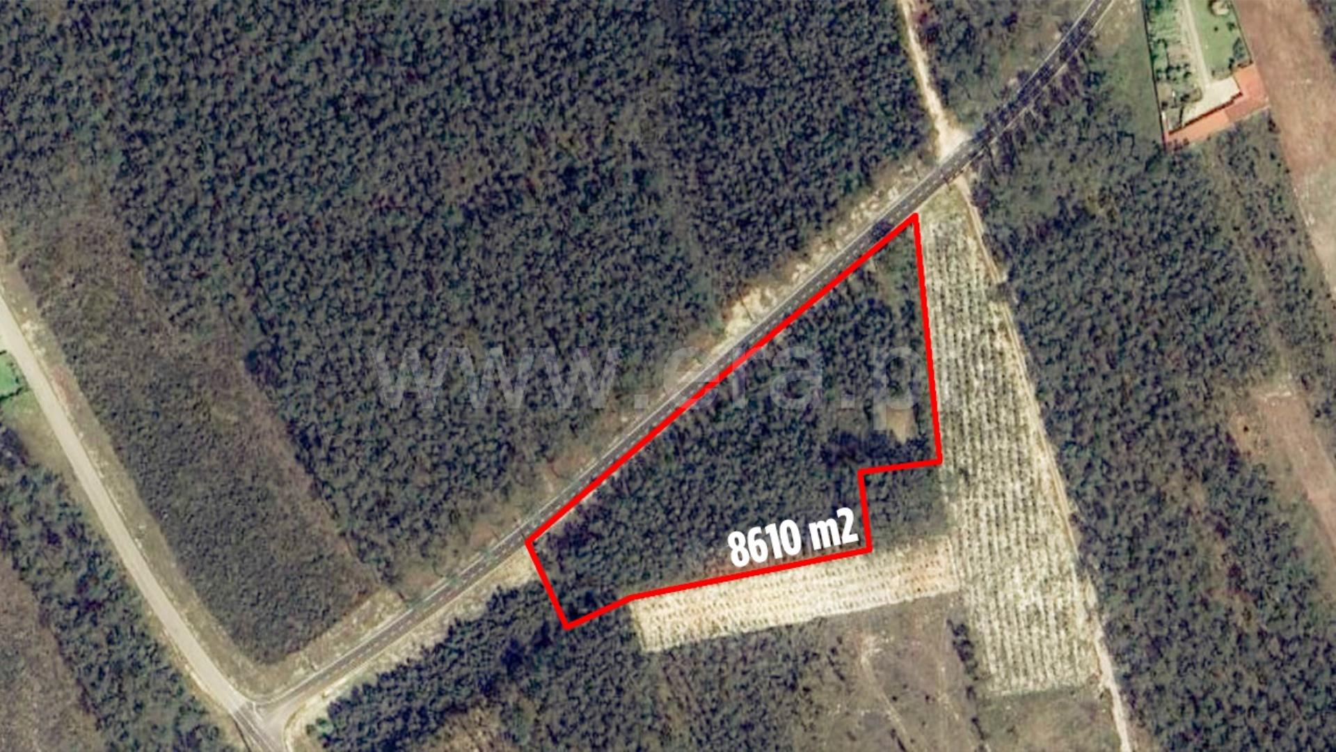 Land for sale in Marinha Grande, Portugal — €100,000