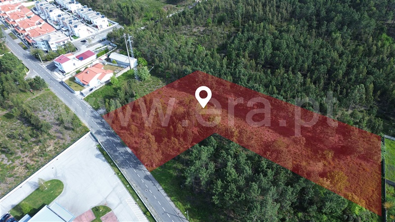 Lote / Marinha Grande, Embra
