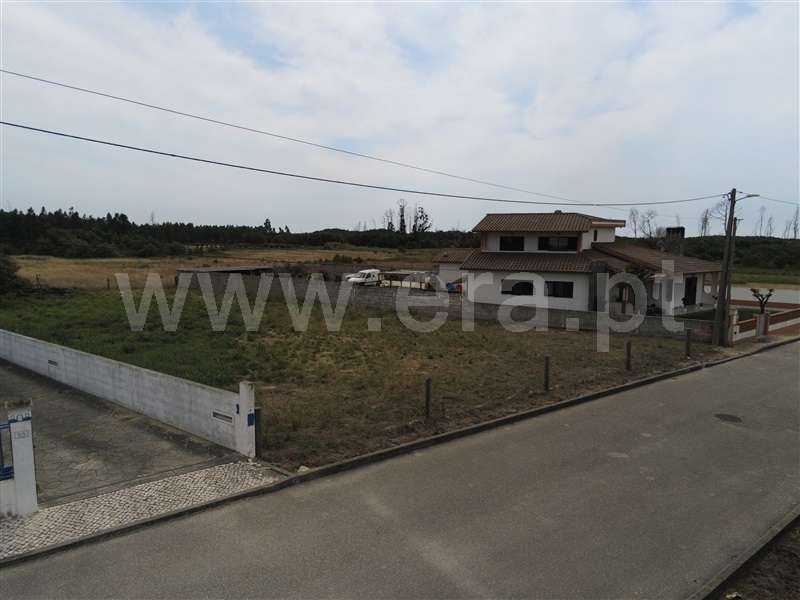 Lote  Marinha Grande, Vieira de Leiria - 1257328 - 3