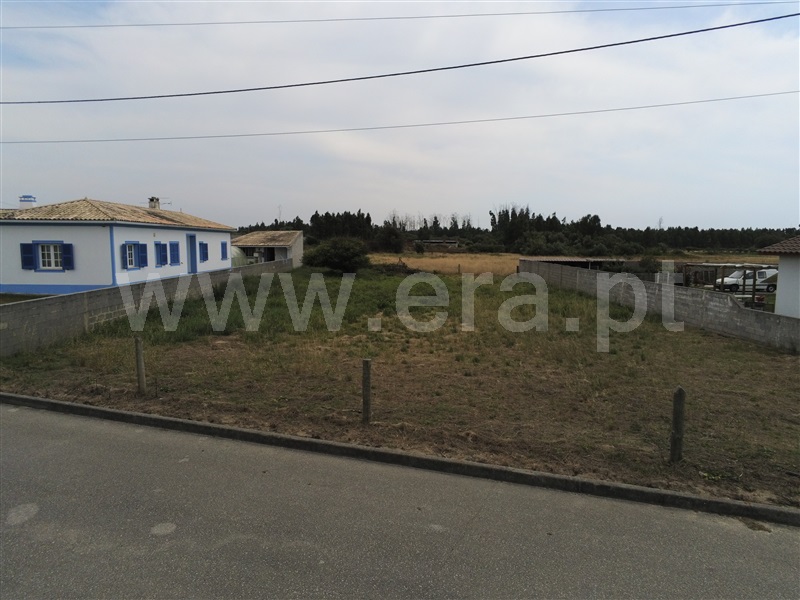 Lote  Marinha Grande, Vieira de Leiria - 1257328 - 4