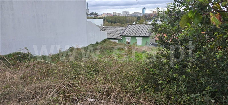 Lote  Matosinhos, Custóias, Leça do Balio e Guifões - 1438139 - 2