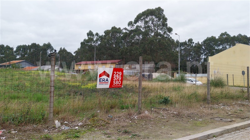 Lote / Matosinhos, Custóias