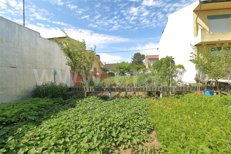 Lote / Matosinhos, Perafita