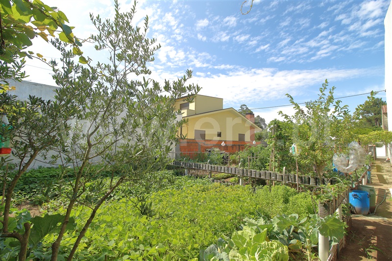 Lote  com Urbano Matosinhos, Perafita - 1336218 - 8