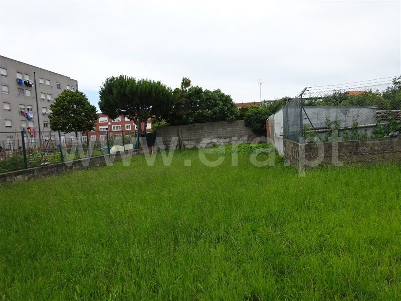Lote / Matosinhos, S. Mamede Infesta