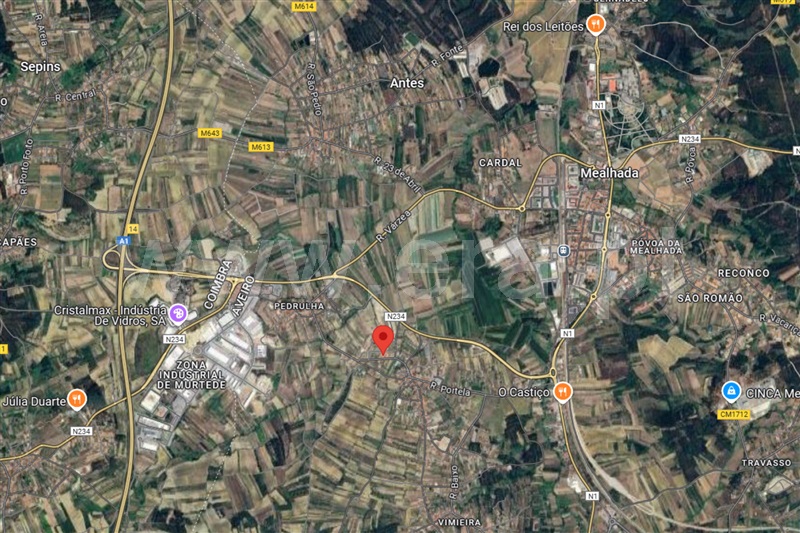 Lote  Mealhada, Casal Comba - 1301578 - 3