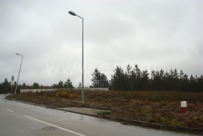 Lote / Mealhada, Pampilhosa