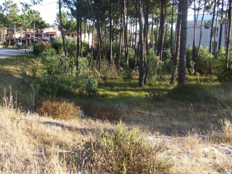 Lote / Mira, Mira Villas
