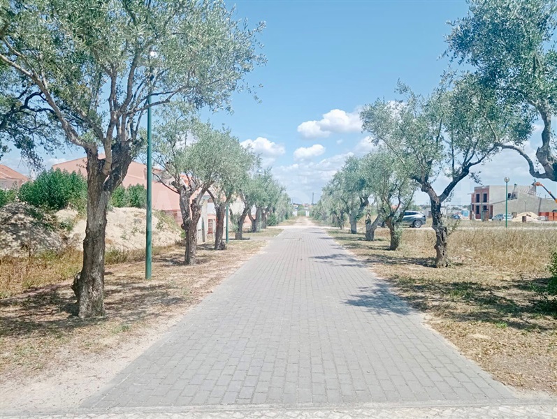 Lote / Moita, Gaio-Rosário e Sarilhos Pequenos