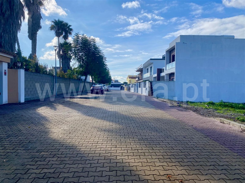 Lote  Moita - 1441784 - 2