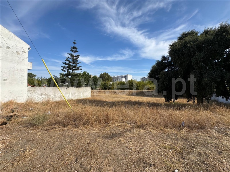 Lote  Moita, Vale da Amoreira - 1501387 - 11