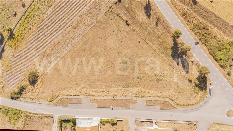 Lote  Montalegre, Vilar de Perdizes e Meixide - 1507281 - 13