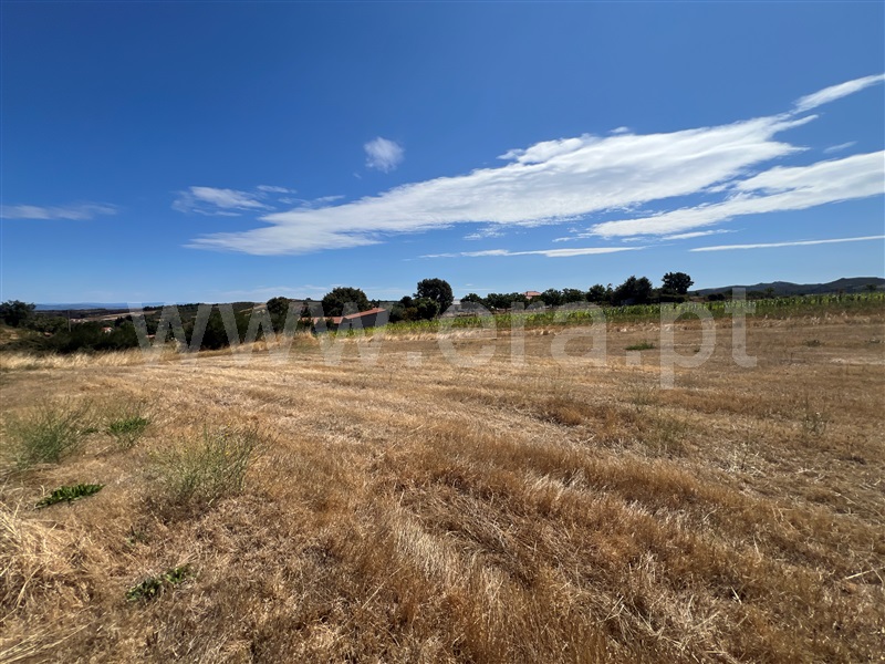 Lote / Montalegre, Vilar de Perdizes e Meixide