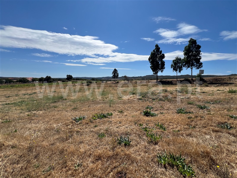 Lote / Montalegre, Vilar de Perdizes e Meixide