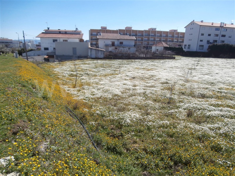 Lote  Murça - 1357186 - 5