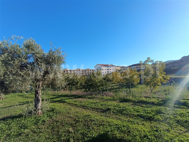 Lote / Murça, Murça