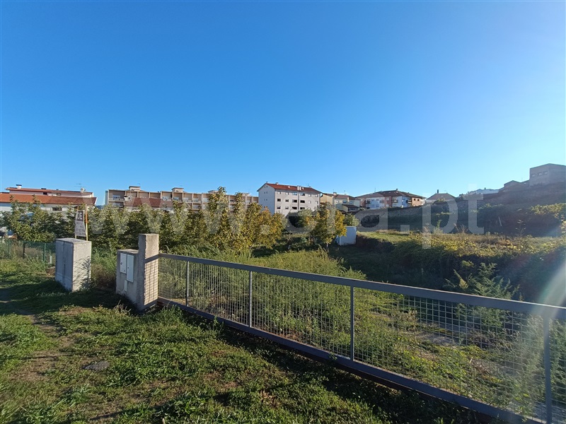Lote  Murça - 1358243 - 6