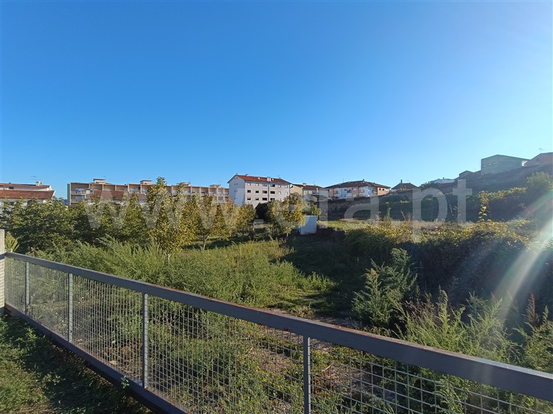 Lote  Murça - 1358243 - 9