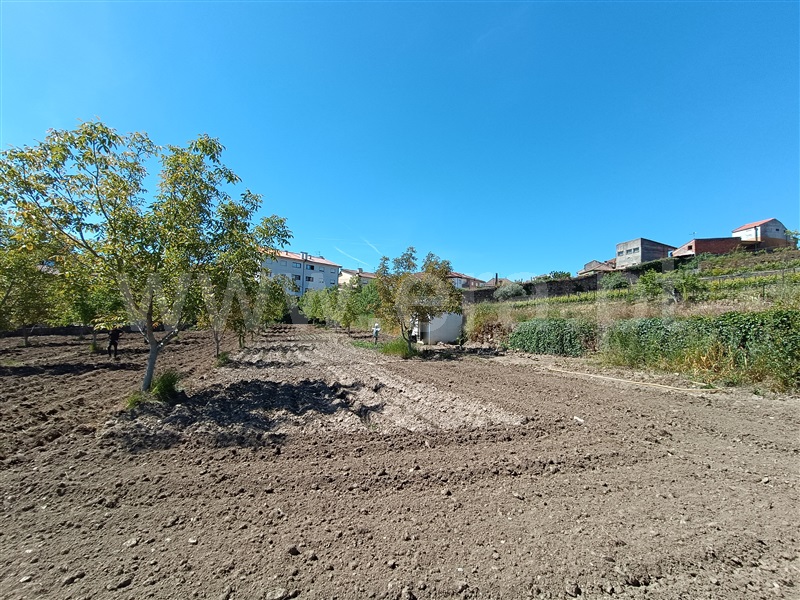 Lote  Murça - 1358243 - 7
