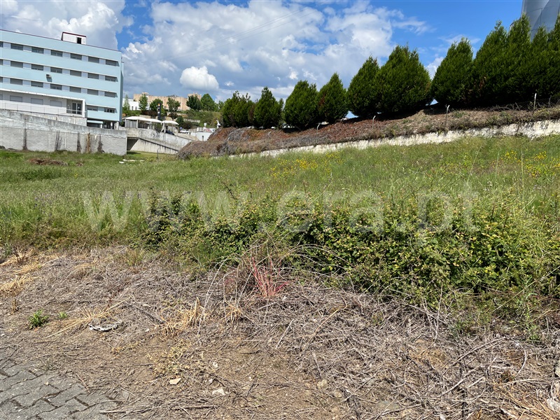 Lote  Murça - 1476680 - 1