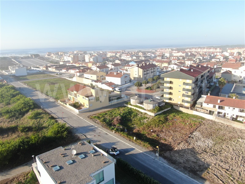 Lote / Murtosa, Torreira