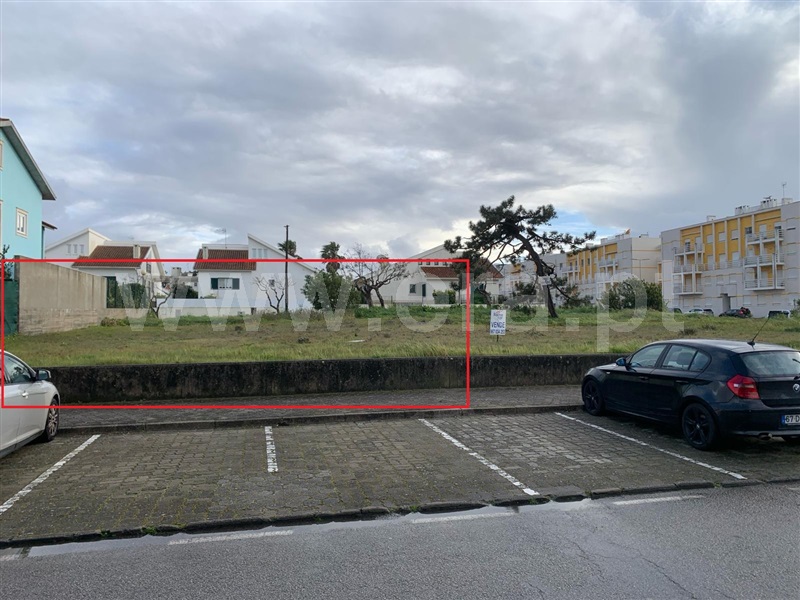 Lote / Murtosa, Torreira