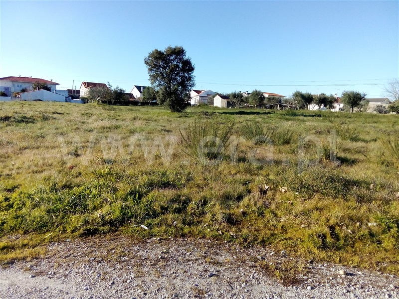 Lote  Nelas, Canas de Senhorim - 1304177 - 3