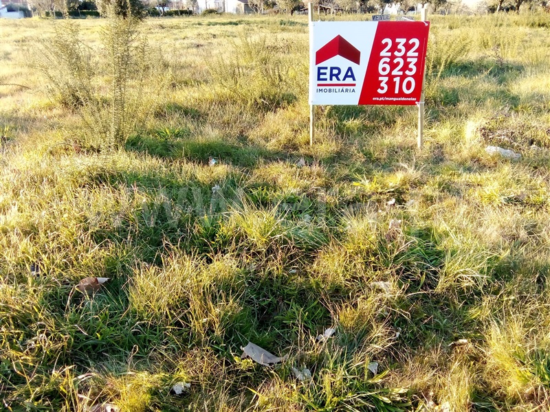 Lote  Nelas, Canas de Senhorim - 1304177 - 4