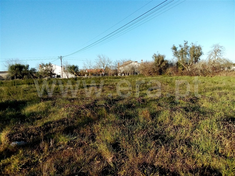Lote  Nelas, Canas de Senhorim - 1304177 - 5