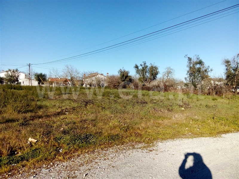Lote  Nelas, Canas de Senhorim - 1304177 - 6