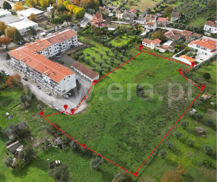 Lote / Nelas, Canas de Senhorim